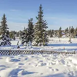 Ferienhaus Sjusjoen-pihl 89 *