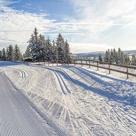 Ferienhaus Sjusjoen-pihl 89 *