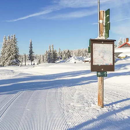 Three-bedroom In Sjusjoen
