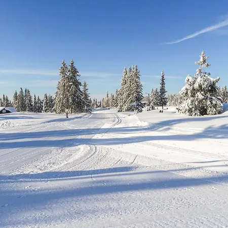 Sjusjoen-pihl 89